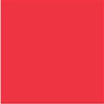COLOURFUL DAYS COLOURBOARD 200GSM PROJECT SIZE 510X640MM CHERRY