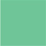 COLOURFUL DAYS COLOURBOARD 200GSM PROJECT SIZE 510 X 640MM GREEN