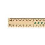 CELCO RULER 30CM